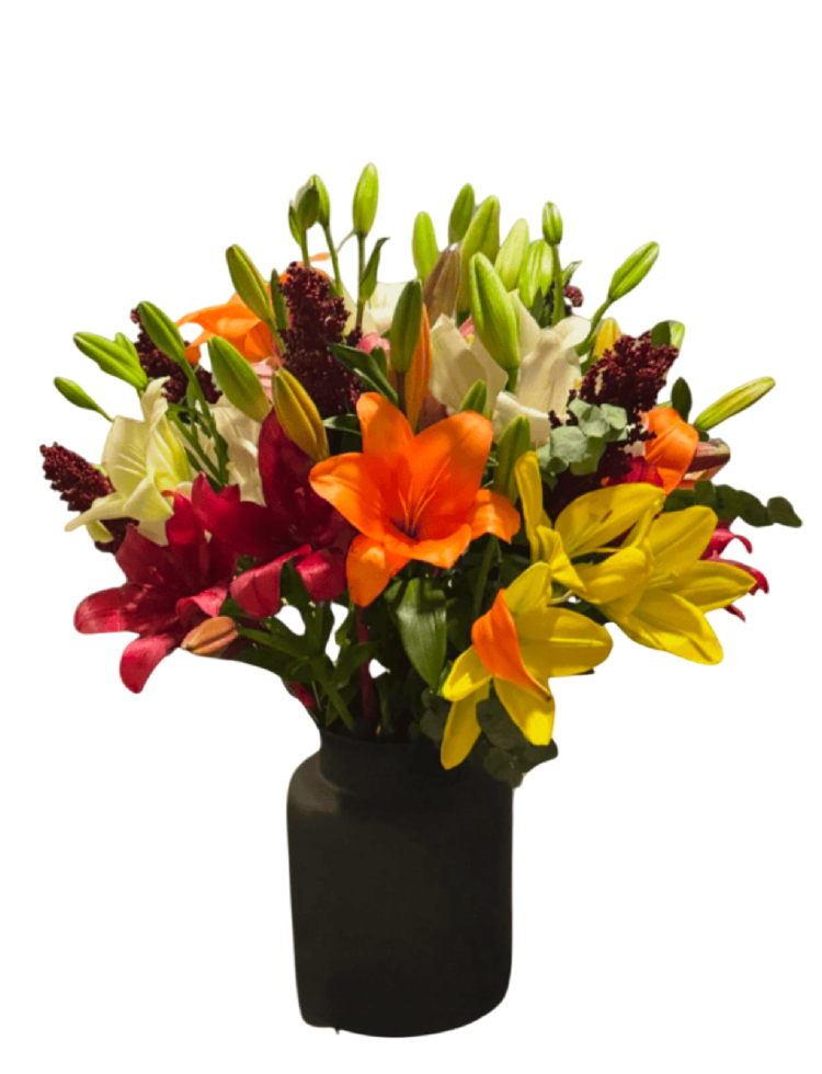 MIXED LILIS BLOOMS Lechero blanco